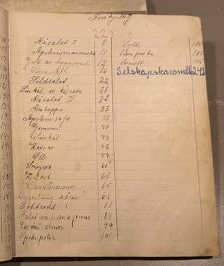 Side 223