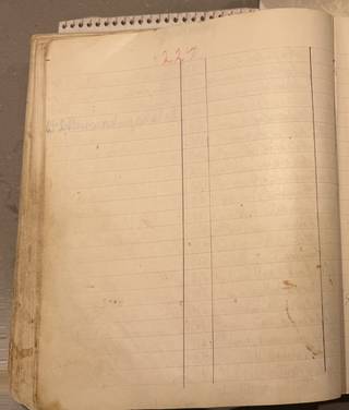 Side 224