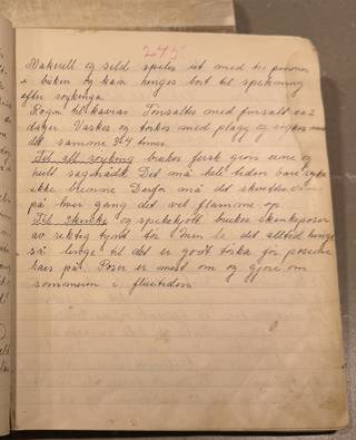 Side 245